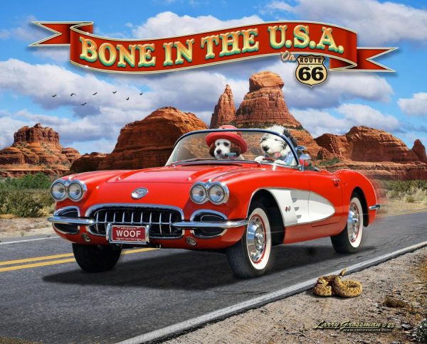 Styles | Bone in USA Vette Wall Mural Styles Styles