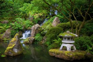 Styles | Japanese Garden Mural Wallpaper Landscapes & Scenic Landscapes & Scenic