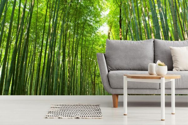 Styles | Kyoto Bamboo Grove Wall Mural Colors Colors