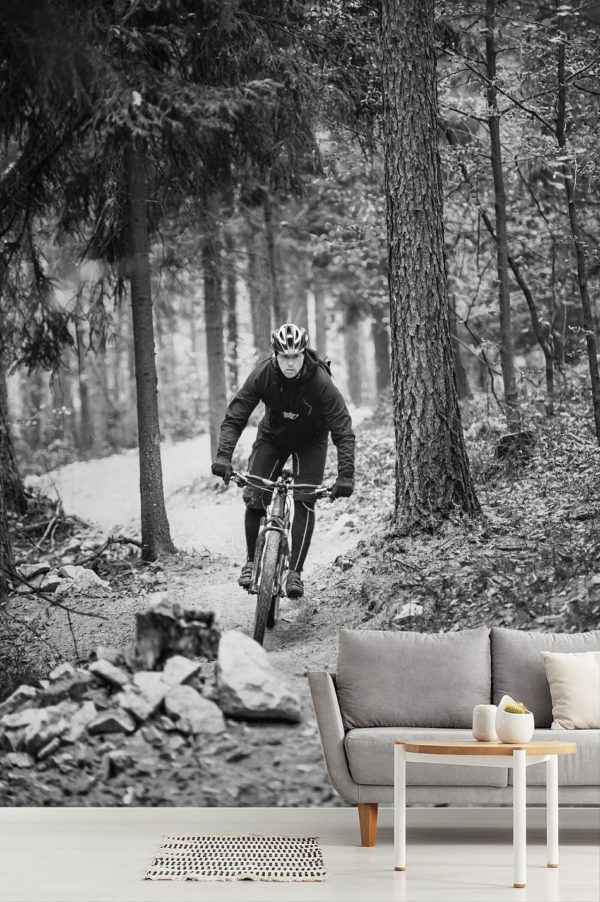 Styles | Mountain Biker Riding In Autumn Forest Wall Mural Sports Sports