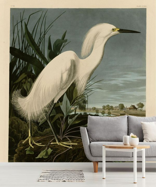 Styles | Snowy Heron Egret Wallpaper Mural Animals Animals