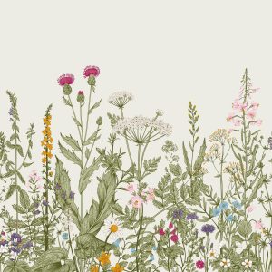 Styles | Vintage Engraved Wildflower Border Wall Mural Flowers Flowers