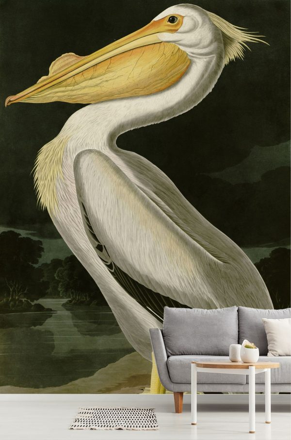 Styles | White Pelican Wallpaper Mural Animals Animals