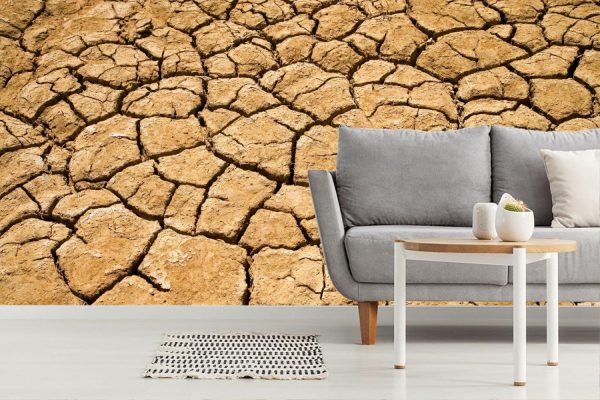 Textures & Backgrounds | Dry Pond, Outback Wallpaper Mural Textures & Backgrounds Textures & Backgrounds