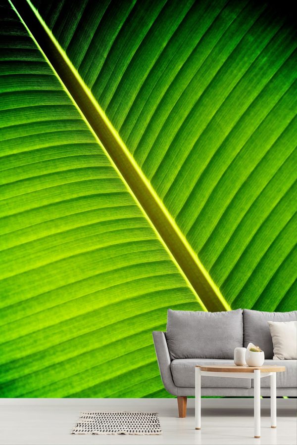 Textures & Backgrounds | Tropical Shade Wallpaper Mural Textures & Backgrounds Textures & Backgrounds