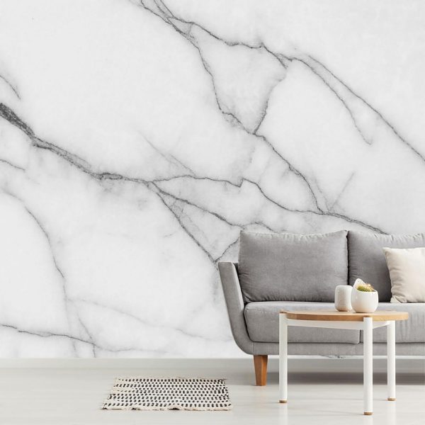 Textures & Backgrounds | White Marble With Grey Veins Mural Wallpaper Textures & Backgrounds Textures & Backgrounds