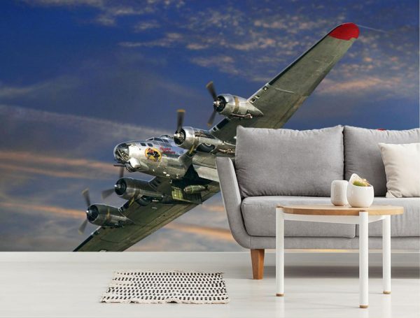 Transportation | B-17 Special Delivery (No Text) Mural Wallpaper Transportation Transportation