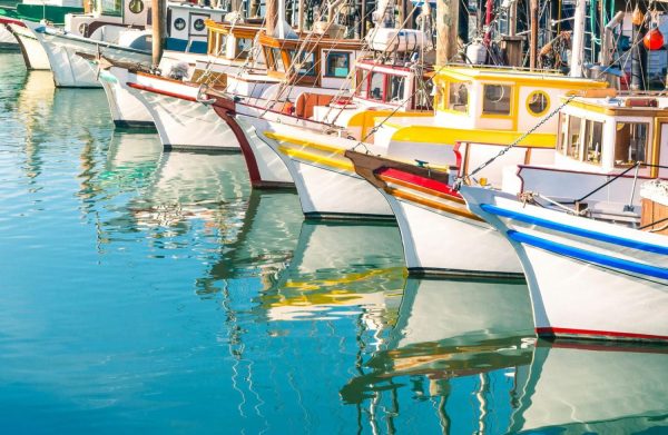 Transportation | Colorful Sailboats at Fishermans Wharf Wallpaper Mural Transportation Transportation