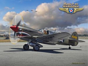 Transportation | P-40 Warhawk Wall Mural Transportation Transportation