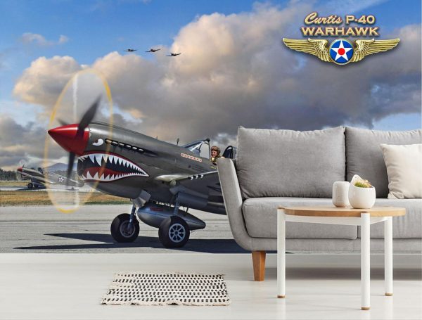 Transportation | P-40 Warhawk Wall Mural Transportation Transportation