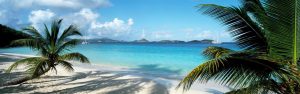 Transportation | Palm Trees On The Beach US Virgin Islands Mural Wallpaper Extra Large Extra Large