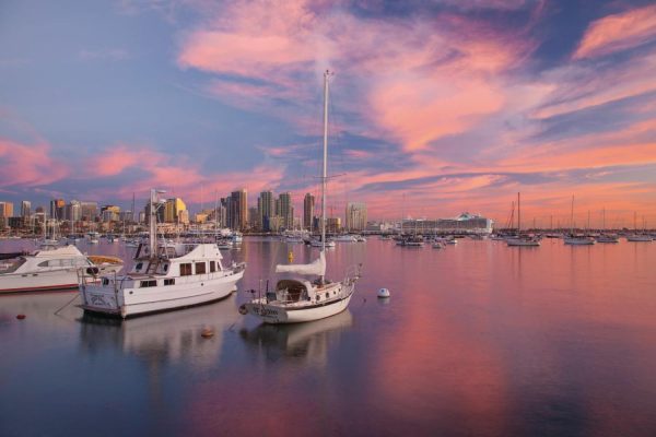 Transportation | Sailboats In San Diego Harbor Wall Mural City & Skyline City & Skyline