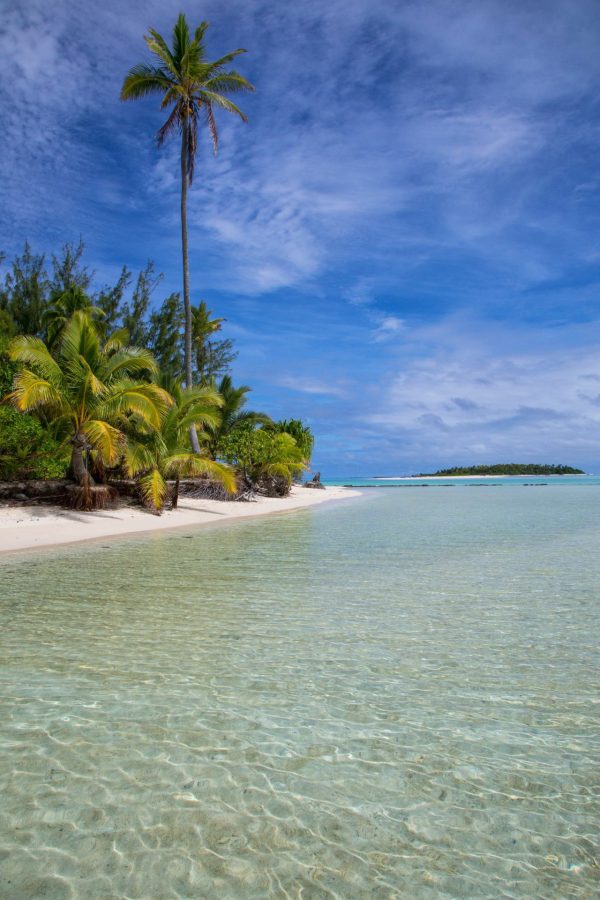 Trees | Aitutaki Lagoon, Cook Islands Wallpaper Mural Beach & Tropical Beach & Tropical