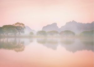 Trees | Amazing Watercolor Of Foggy Morning Landscape Wall Mural Colors Colors