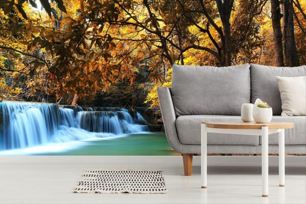 Trees | Autumn Deep Forest Waterfall Wall Mural Forests Forests