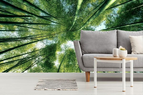 Trees | Bamboo Jungle Canopy Wall Mural Trees Trees