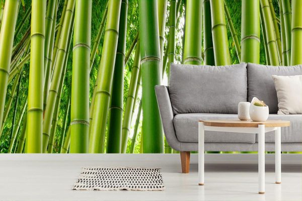 Trees | Bamboo Serenity Wallpaper Mural Colors Colors