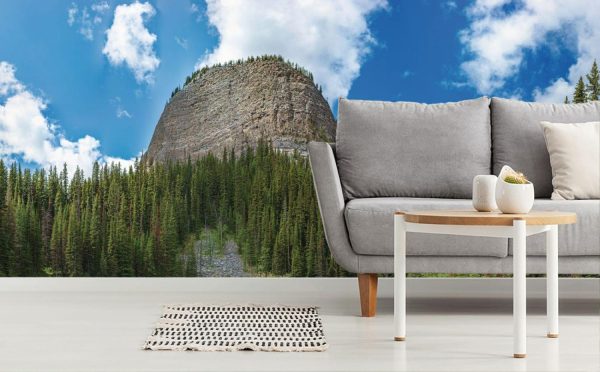 Trees | Beehive Mountain at Mirror Lake Wall Mural Landscapes & Scenic Landscapes & Scenic