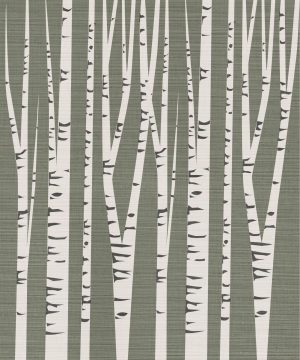 Trees | Birch Trees Illustration Mural Wallpaper Forests Forests