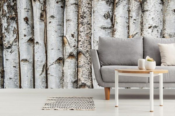 Trees | Birch Wooden Background Wall Mural Textures & Backgrounds Textures & Backgrounds