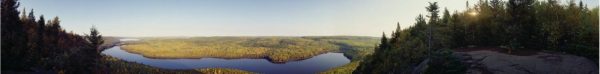 Trees | Boundary Waters, Voyageurs National Park Wall Mural Extra Large Extra Large