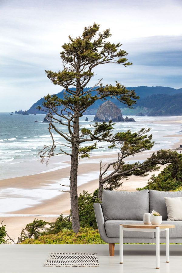 Trees | Cannon Beach Tree Mural Wallpaper Beach & Tropical Beach & Tropical