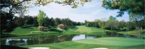 Trees | Congressional Country Club Golf Course Wallpaper Mural Extra Large Extra Large