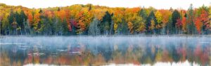 Trees | Trees In Autumn At Lake Hiawatha Wall Mural Forests Forests