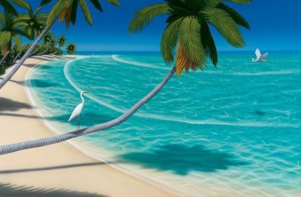 Beach & Tropical | Safe Landing Wallpaper Mural Beach & Tropical Beach & Tropical