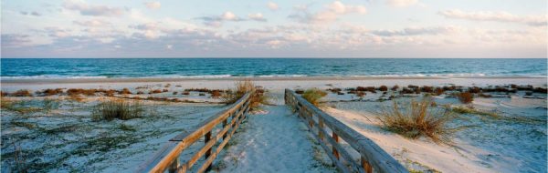 Beach & Tropical | St. George Island Wall Mural Beach & Tropical Beach & Tropical