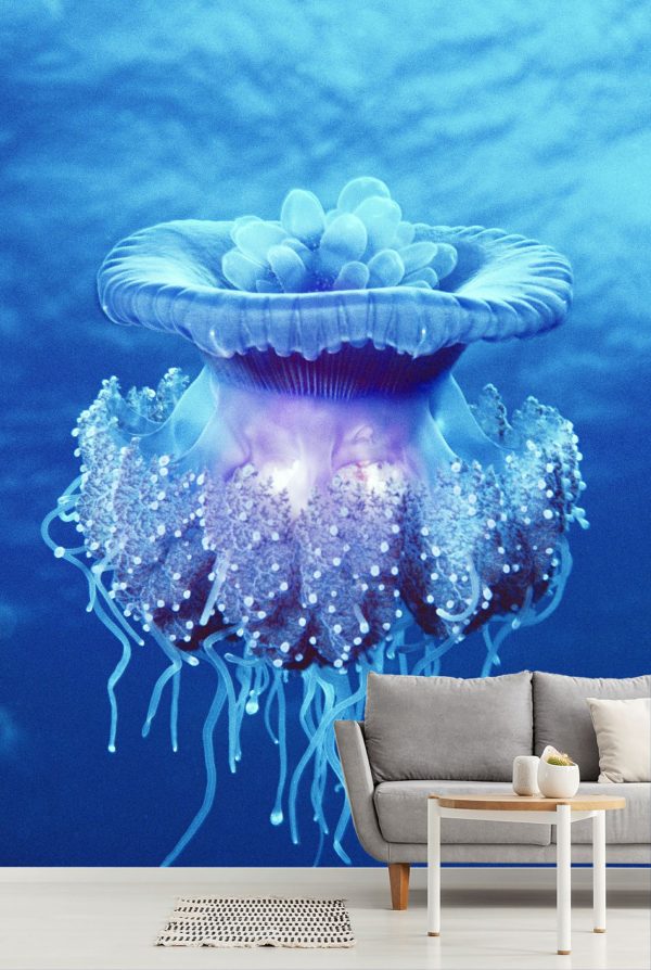 Colors | Crown Jellyfish Wall Mural Animals Animals