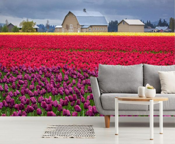 Flowers | Fields of Tulips Mural Wallpaper Flowers Flowers