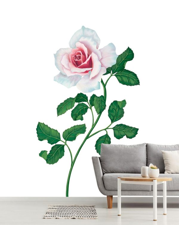 Flowers | Pale Pastel Rose Mural Wallpaper Flowers Flowers