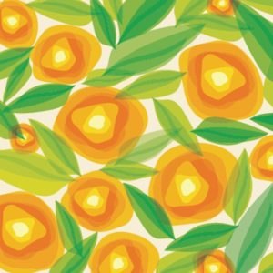 Flowers | Summer Orange Flowers Wallpaper Flowers Flowers