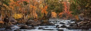 Forests | Leaf Peeping on the PeshtigoMural Wallpaper Forests Forests