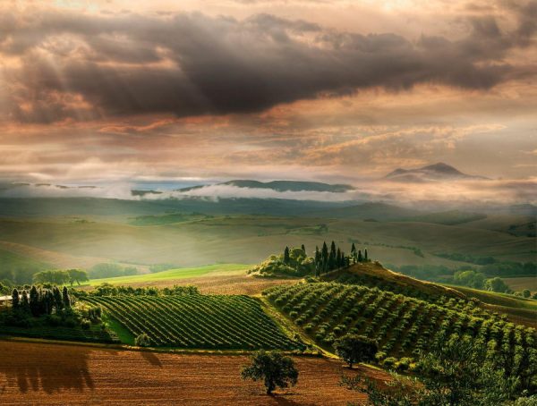 Italian | Quiet Tuscan Sunrise Wall Mural Italian Italian