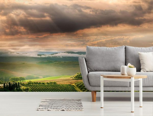 Italian | Quiet Tuscan Sunrise Wall Mural Italian Italian