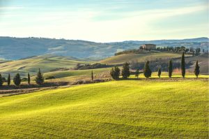 Italian | Tuscan Hills Mural Wallpaper Italian Italian