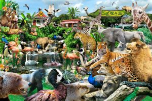 Animals | Zoo (Schory) Wall Mural Animals Animals