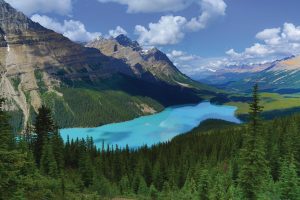 Landscapes & Scenic | Aerial View Of Banff National Park Wall Mural Landscapes & Scenic Landscapes & Scenic