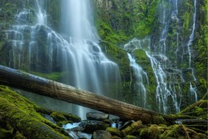 Landscapes & Scenic | Proxy Falls Wall Mural Landscapes & Scenic Landscapes & Scenic