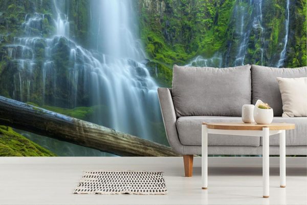 Landscapes & Scenic | Proxy Falls Wall Mural Landscapes & Scenic Landscapes & Scenic