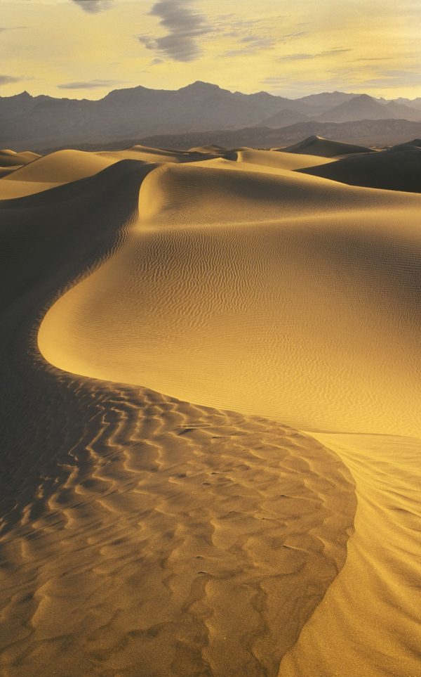 Landscapes & Scenic | Sand Dunes Death Valley Mural Wallpaper Landscapes & Scenic Landscapes & Scenic