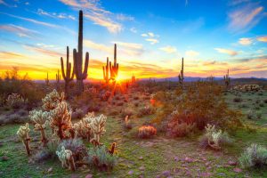 Nature | Sunset Desert Mural Wallpaper Landscapes & Scenic Landscapes & Scenic