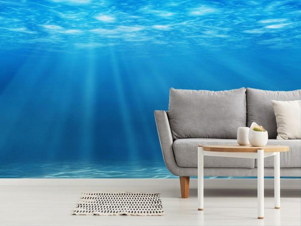 Nature | Tranquil Underwater Scene Wall Mural Colors Colors