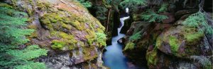 Panoramic | Avalanche Gorge Wall Mural Panoramic Panoramic