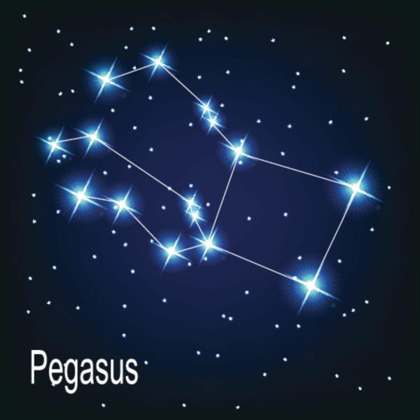 Space | Pegasus Constellation Wall Mural Space Space