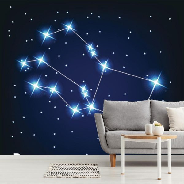 Space | Pegasus Constellation Wall Mural Space Space